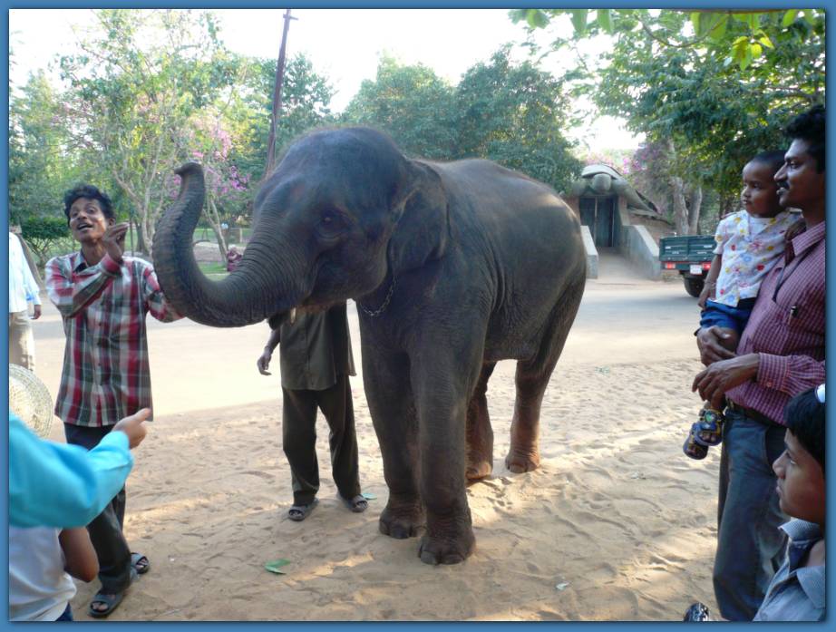 900x674 pixels (99K)